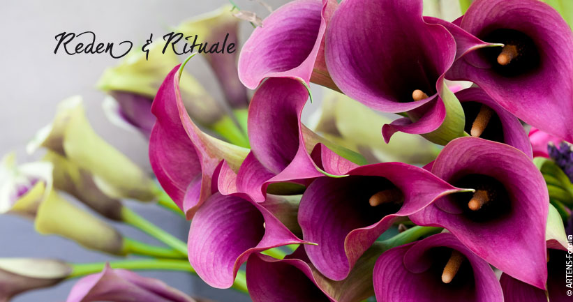 Reden, Rituale Reden, Rituale